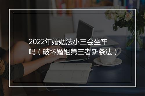 2022年婚姻法小三会坐牢吗（破坏婚姻第三者新条法）