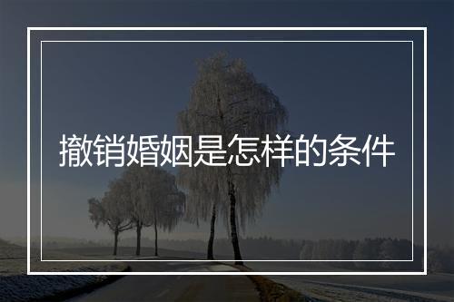 撤销婚姻是怎样的条件