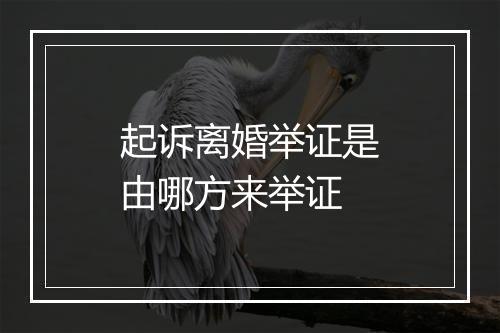 起诉离婚举证是由哪方来举证