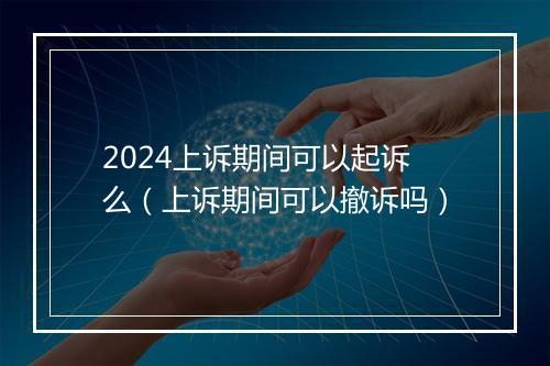 2024上诉期间可以起诉么（上诉期间可以撤诉吗）