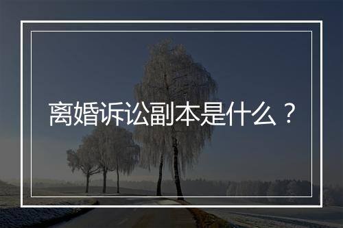 离婚诉讼副本是什么？