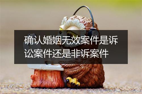 确认婚姻无效案件是诉讼案件还是非诉案件