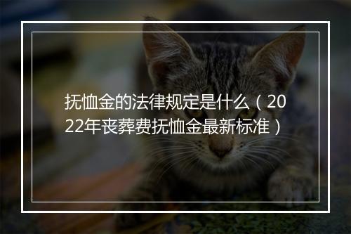 抚恤金的法律规定是什么（2022年丧葬费抚恤金最新标准）