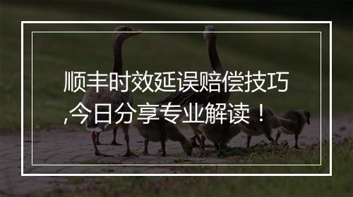 顺丰时效延误赔偿技巧,今日分享专业解读！