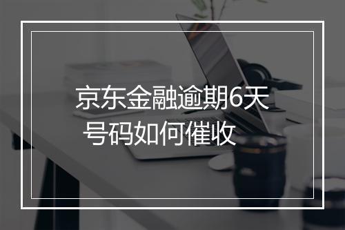 京东金融逾期6天 号码如何催收