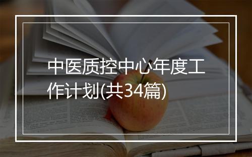 中医质控中心年度工作计划(共34篇)