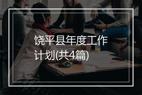 饶平县年度工作计划(共4篇)