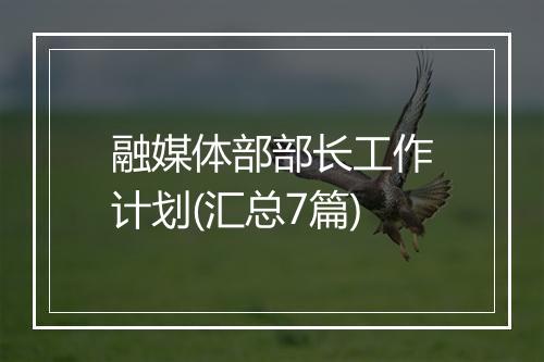 融媒体部部长工作计划(汇总7篇)