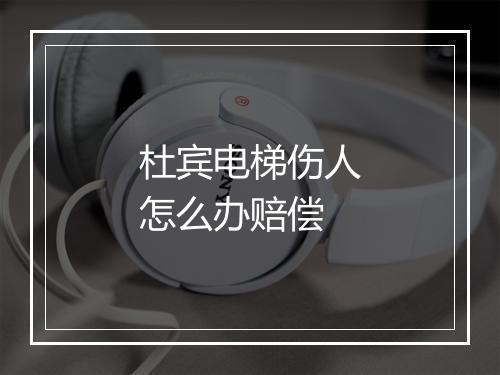 杜宾电梯伤人怎么办赔偿