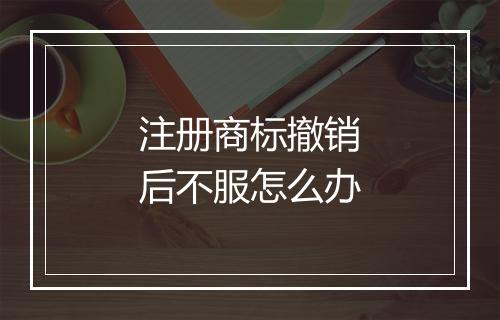 注册商标撤销后不服怎么办