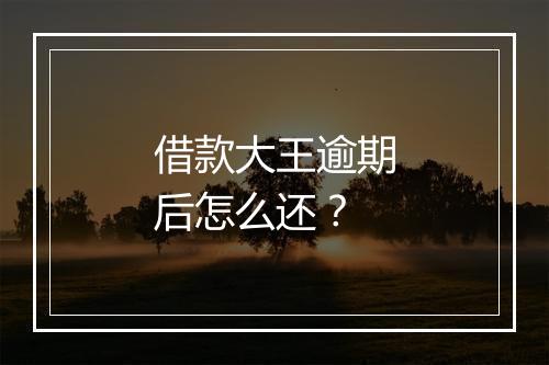 借款大王逾期后怎么还？