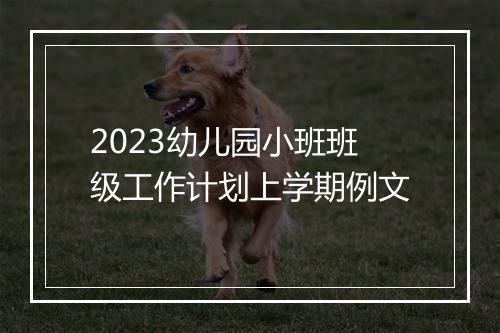 2023幼儿园小班班级工作计划上学期例文