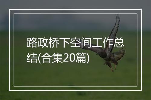 路政桥下空间工作总结(合集20篇)