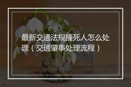 最新交通法规撞死人怎么处理（交通肇事处理流程）
