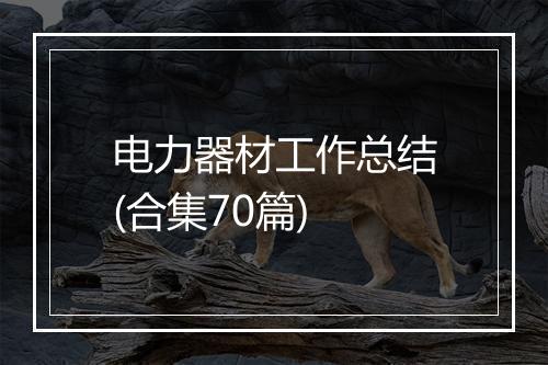 电力器材工作总结(合集70篇)