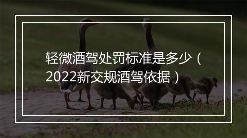 轻微酒驾处罚标准是多少（2022新交规酒驾依据）