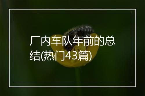 厂内车队年前的总结(热门43篇)