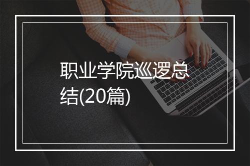 职业学院巡逻总结(20篇)