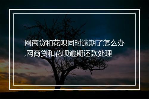 网商贷和花呗同时逾期了怎么办,网商贷和花呗逾期还款处理