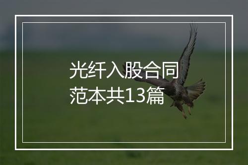 光纤入股合同范本共13篇