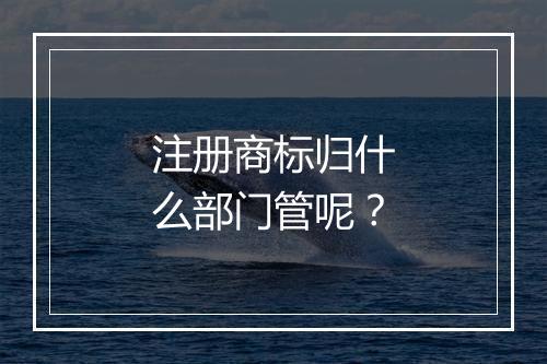 注册商标归什么部门管呢？