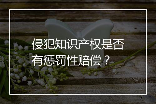 侵犯知识产权是否有惩罚性赔偿？