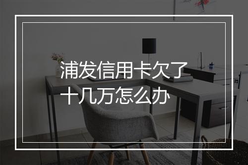 浦发信用卡欠了十几万怎么办