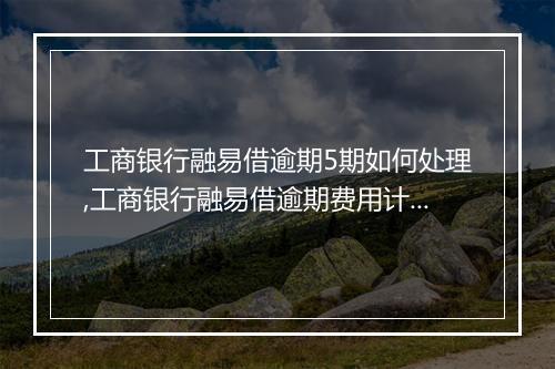 工商银行融易借逾期5期如何处理,工商银行融易借逾期费用计算