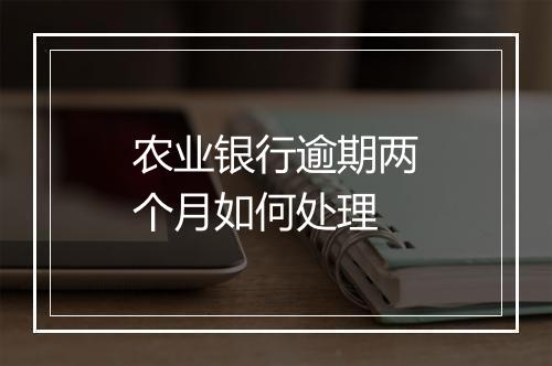 农业银行逾期两个月如何处理