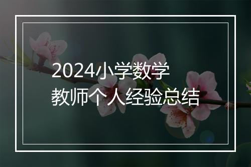 2024小学数学教师个人经验总结