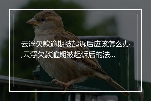 云浮欠款逾期被起诉后应该怎么办,云浮欠款逾期被起诉后的法律应对措施