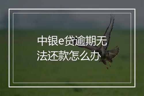 中银e贷逾期无法还款怎么办