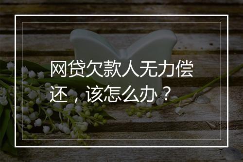 网贷欠款人无力偿还，该怎么办？