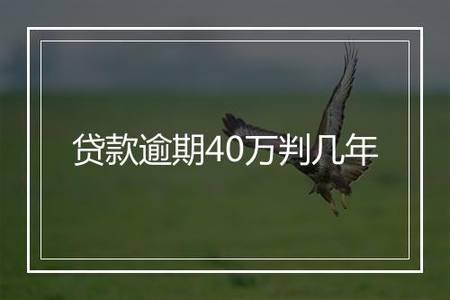 贷款逾期40万判几年