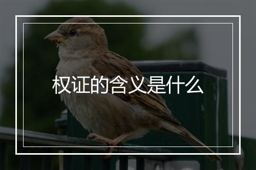 权证的含义是什么