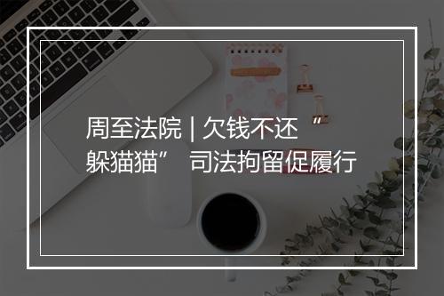 周至法院 | 欠钱不还“躲猫猫” 司法拘留促履行