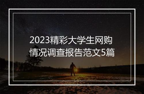 2023精彩大学生网购情况调查报告范文5篇