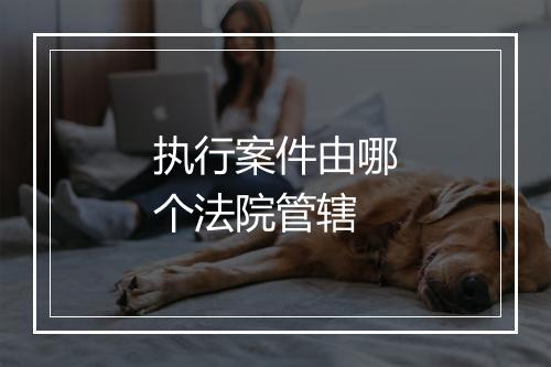执行案件由哪个法院管辖