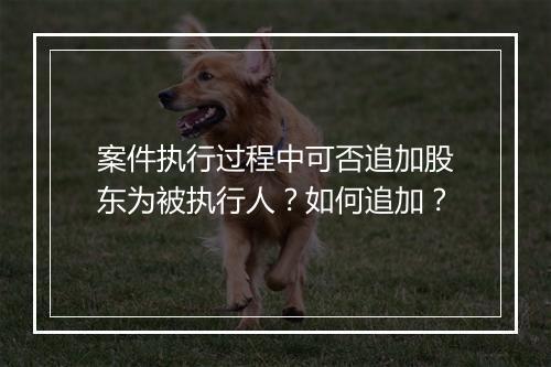 案件执行过程中可否追加股东为被执行人？如何追加？