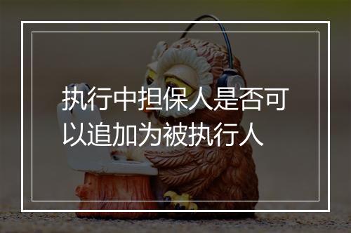 执行中担保人是否可以追加为被执行人