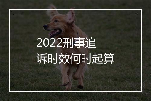 2022刑事追诉时效何时起算