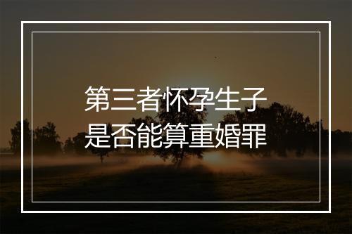 第三者怀孕生子是否能算重婚罪