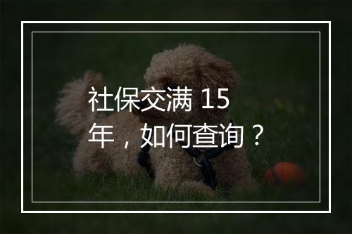 社保交满 15 年，如何查询？