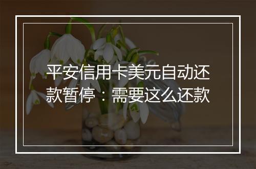平安信用卡美元自动还款暂停：需要这么还款