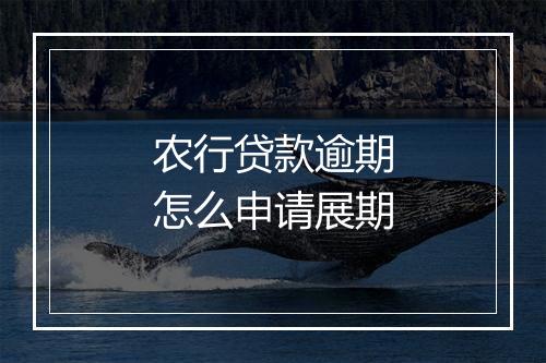农行贷款逾期怎么申请展期