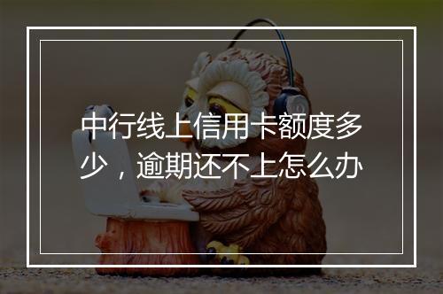 中行线上信用卡额度多少，逾期还不上怎么办