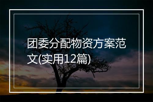 团委分配物资方案范文(实用12篇)