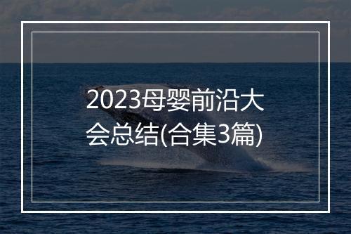 2023母婴前沿大会总结(合集3篇)