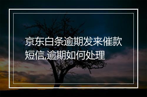 京东白条逾期发来催款短信,逾期如何处理