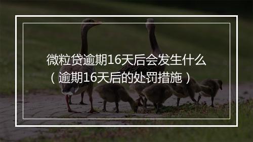 微粒贷逾期16天后会发生什么（逾期16天后的处罚措施）